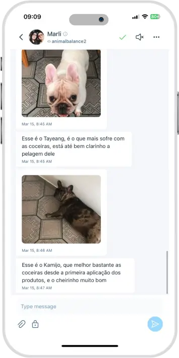 03.webp