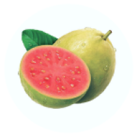 01.png